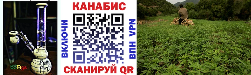OMG ссылка  Новосиль  Марихуана VHQ 